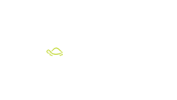 www.carpisa.it